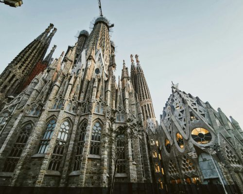 pexels-tkirkgoz-18449847